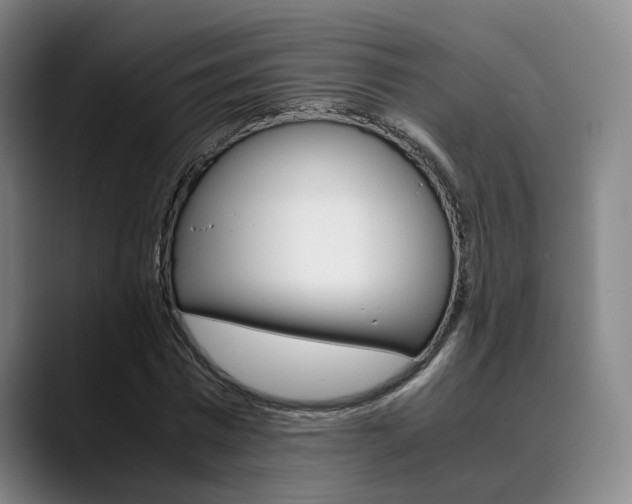 X0000090490777200707130930