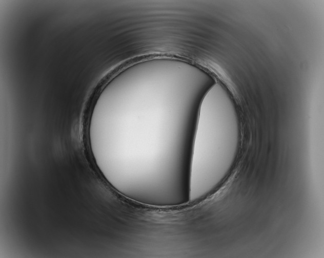 X0000090490780200707130930