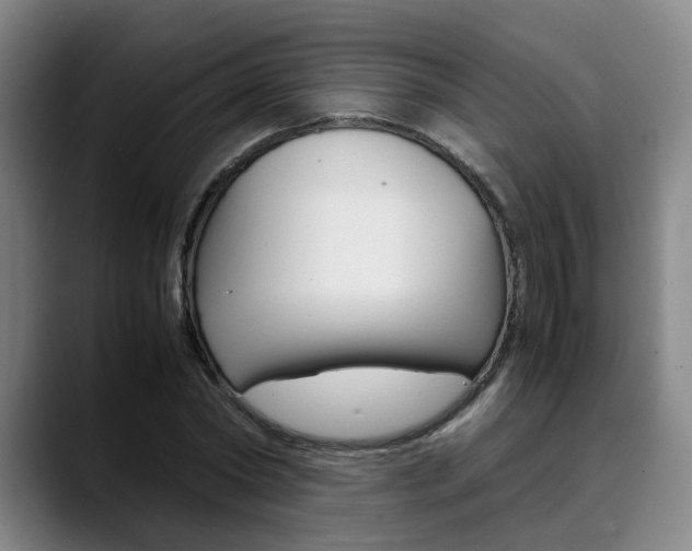 X0000090490782200707130930