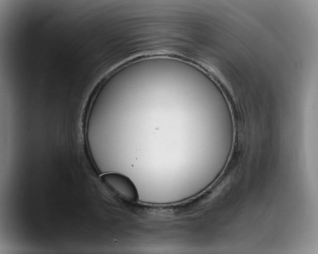 X0000090490789200707130929