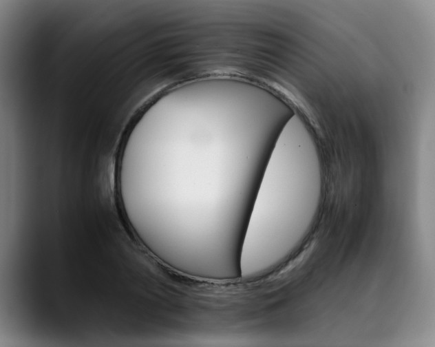 X0000090490790200707130929