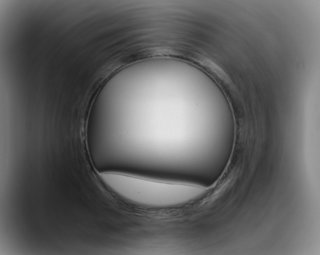 X0000090490793200707130929