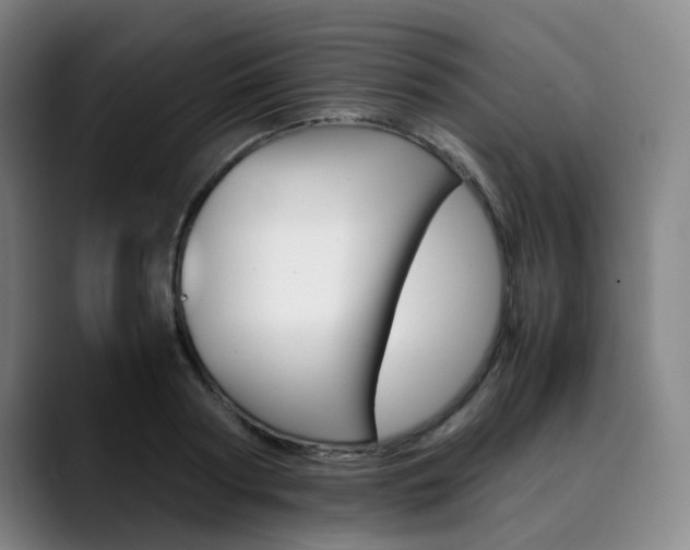 X0000090490794200707130929
