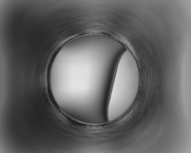 X0000090490795200707130929