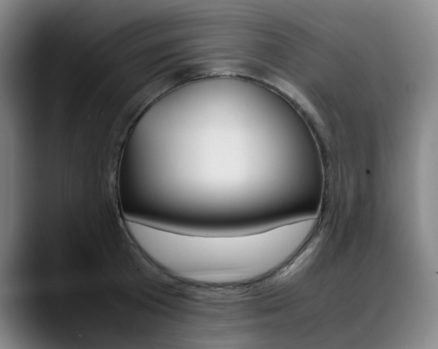 X0000090490801200707130929