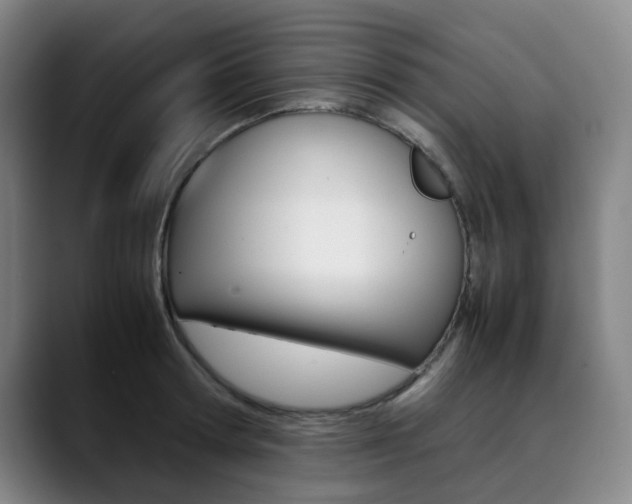 X0000090490802200707130929