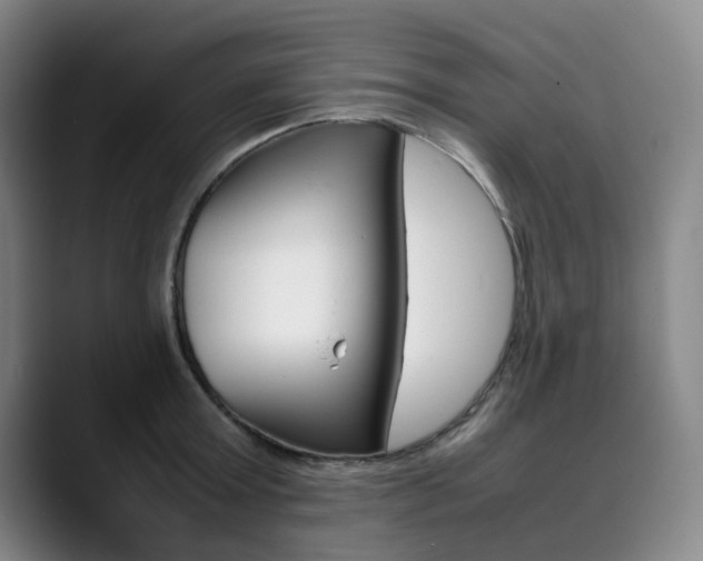 X0000090490803200707130929