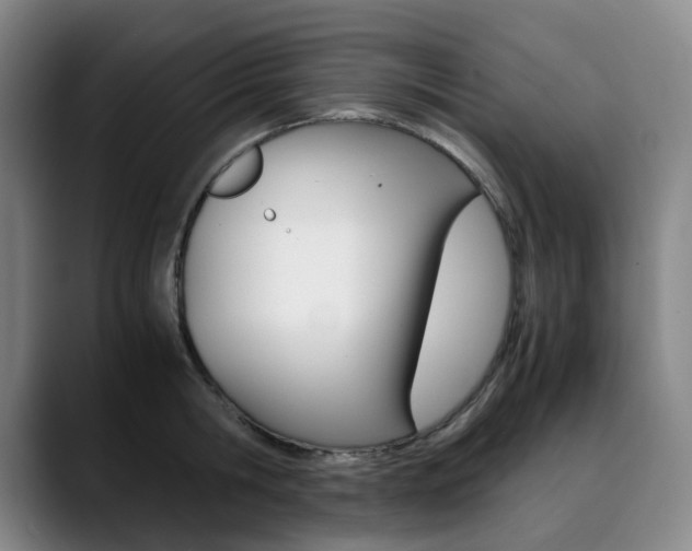 X0000090490806200707130929