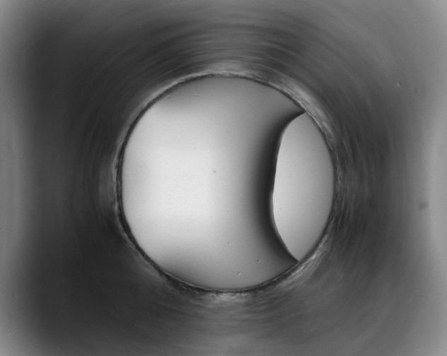 X0000090490808200707130929