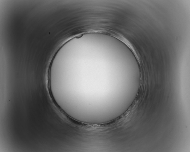 X0000090490811200707130929