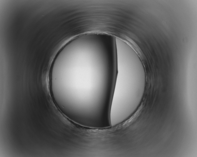 X0000090490812200707130929