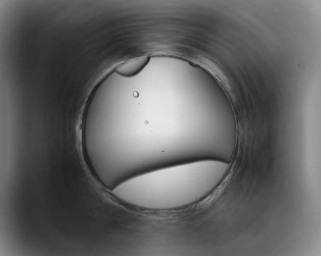 X0000090490814200707130929