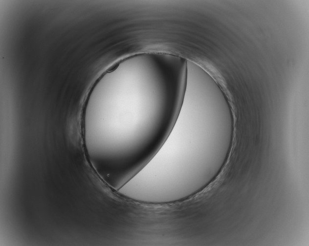 X0000090490816200707130929