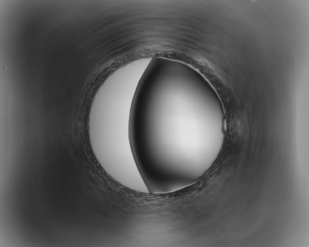 X0000090490822200707130929