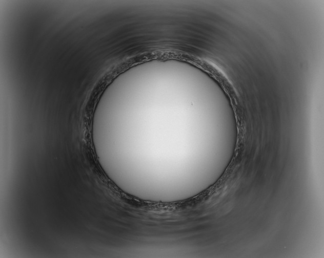 X0000090490823200707130929