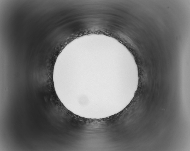 X0000090490824200707130929