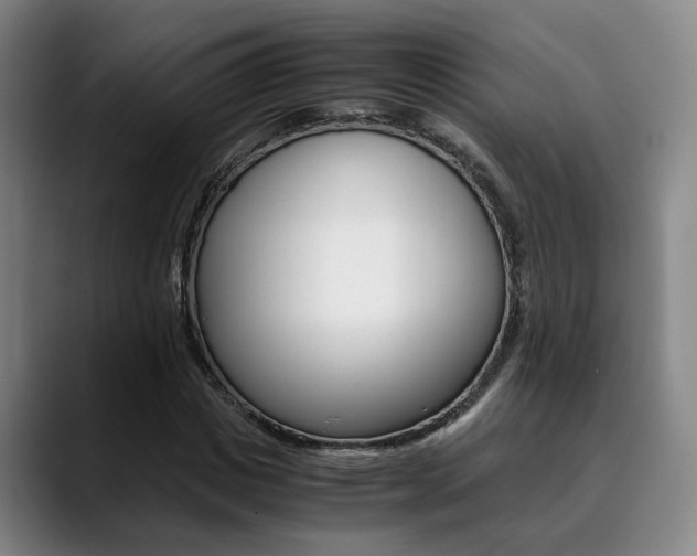 X0000090490825200707130929