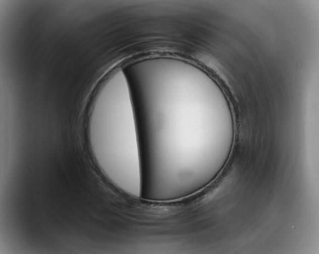 X0000090490829200707130929