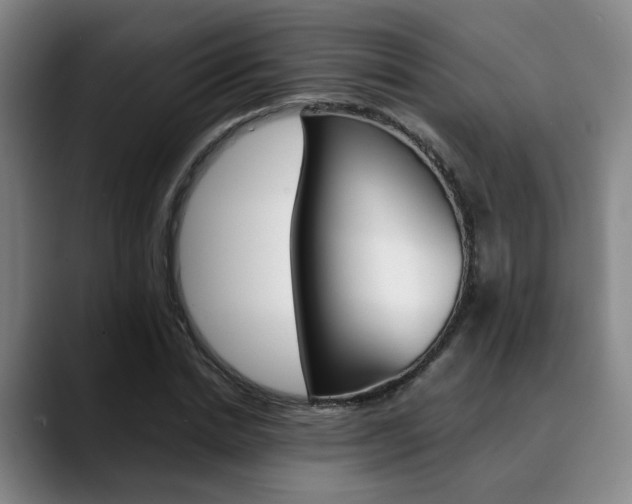 X0000090490830200707130929