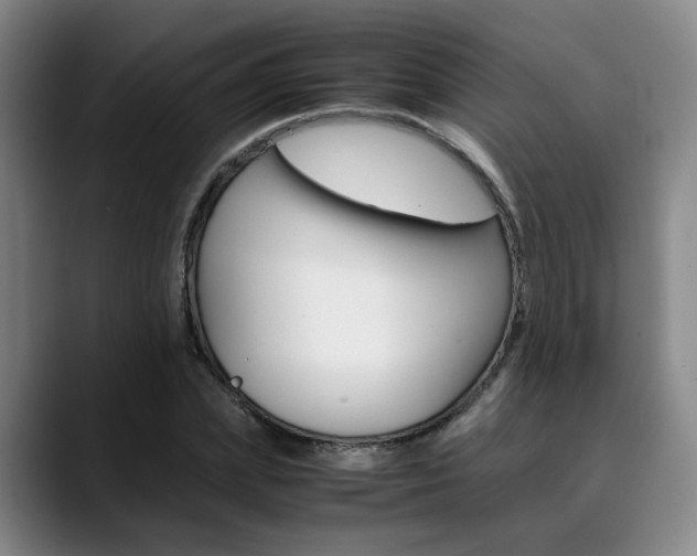 X0000090490831200707130929