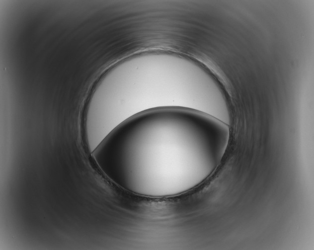 X0000090490834200707130929