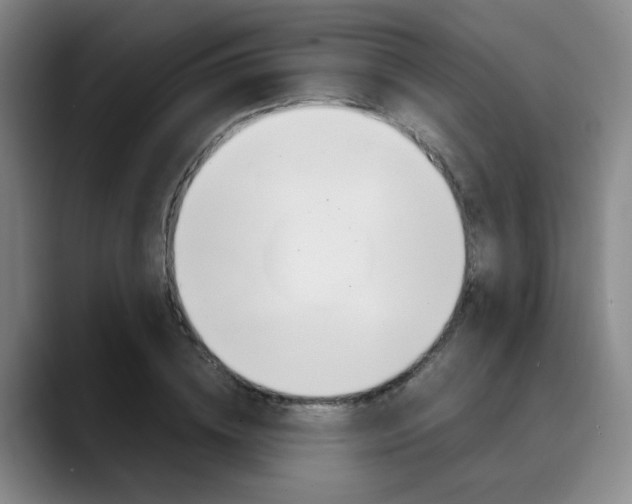 X0000090490836200707130929