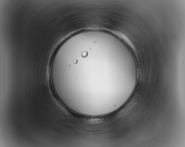 X0000090490839200707130929
