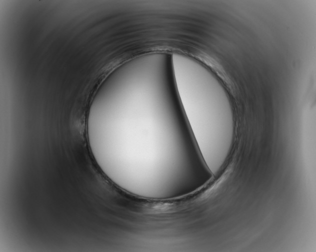 X0000090490841200707130929