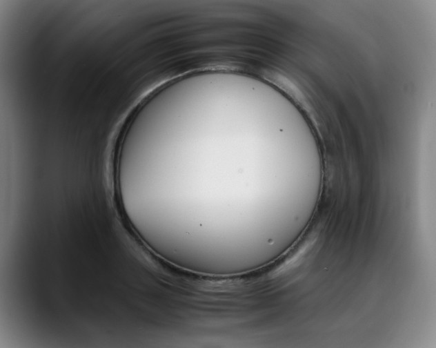 X0000090490843200707130929