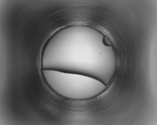 X0000090490844200707130929