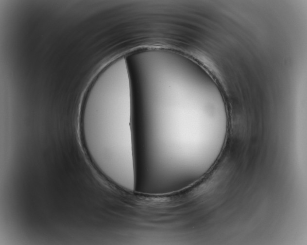 X0000090490845200707130929