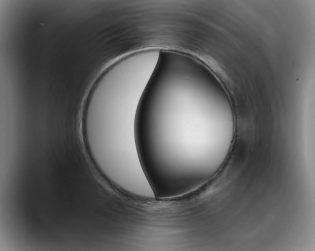 X0000090490846200707130929