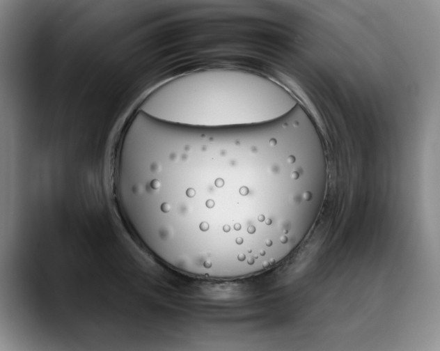 X0000090490851200707130929