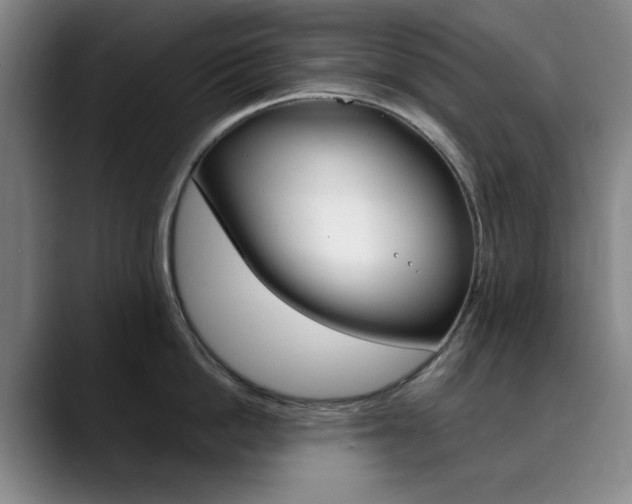 X0000090490862200707130929