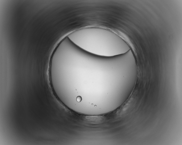 X0000090490863200707130929