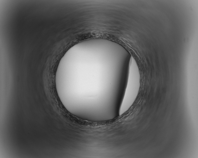 X0000090490865200707130929