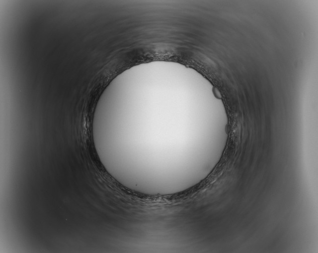 X0000090490866200707130929