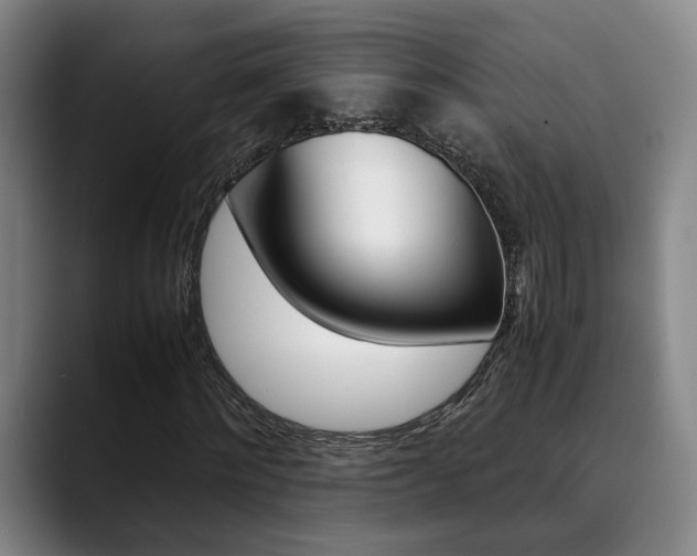 X0000090490868200707130929