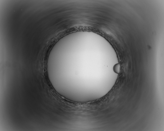 X0000090490870200707130929