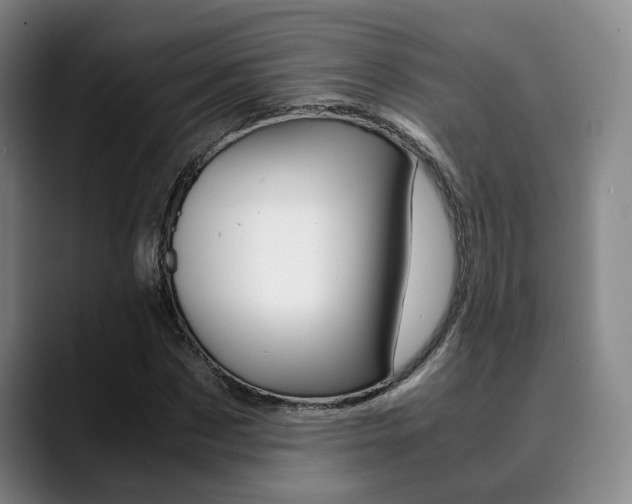 X0000090490873200707130928