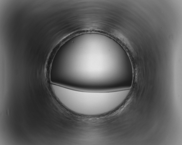 X0000090490876200707130928