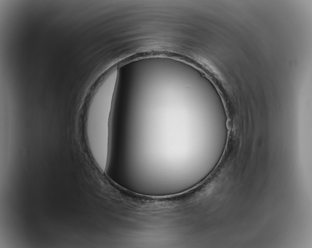 X0000090490877200707130928