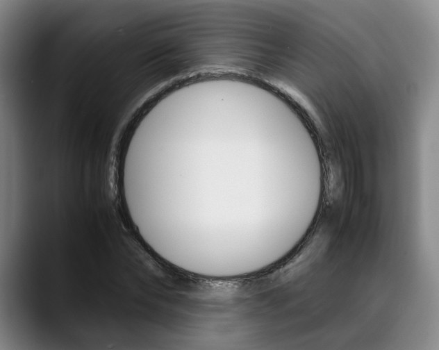 X0000090490878200707130928