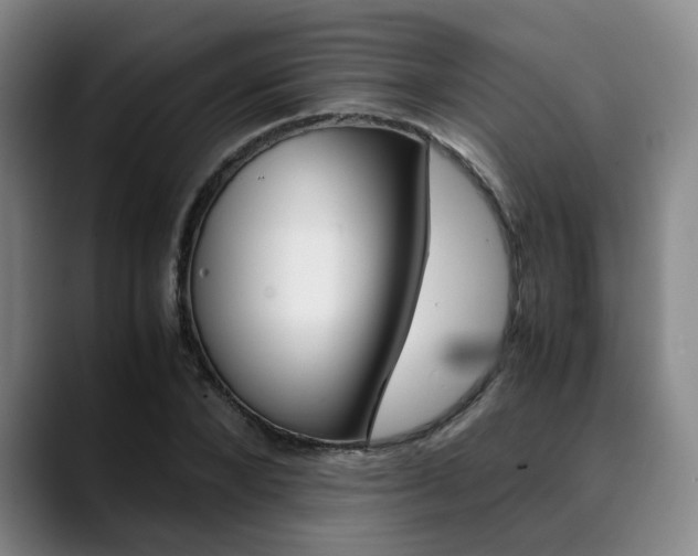 X0000090490880200707130928