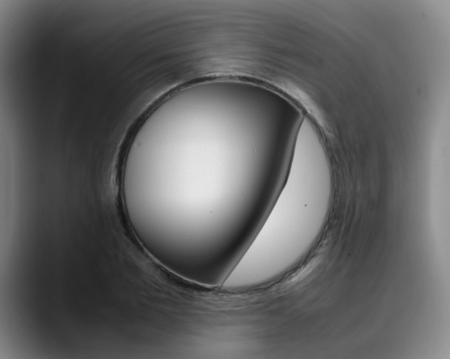 X0000090490885200707130928