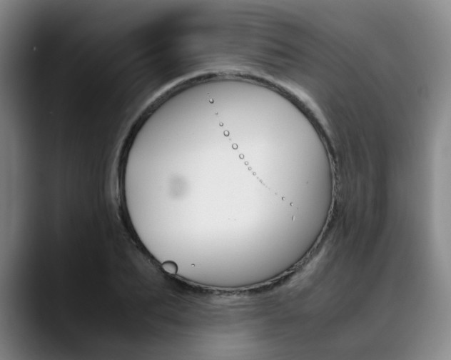 X0000090490887200707130928