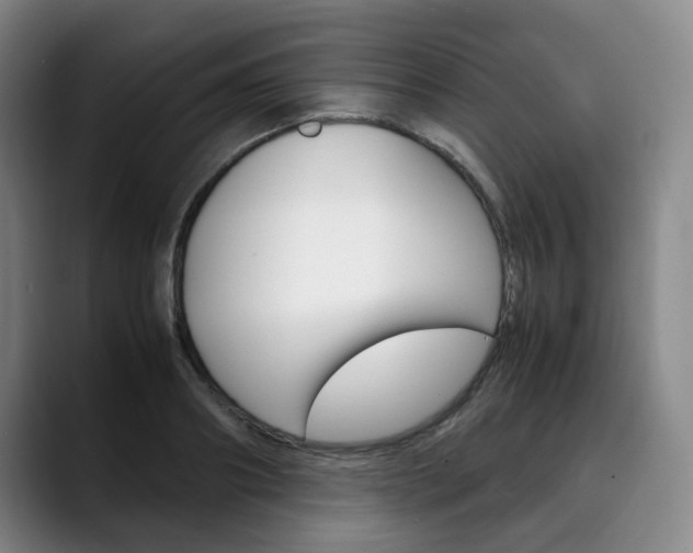 X0000090490890200707130928