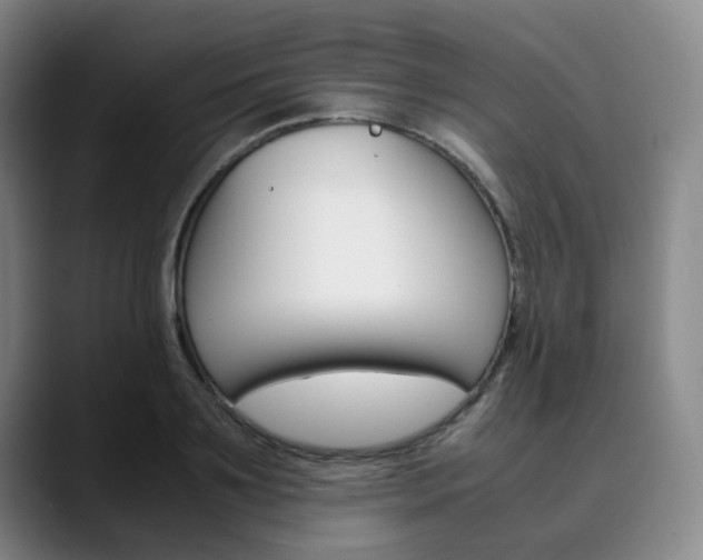X0000090490891200707130928