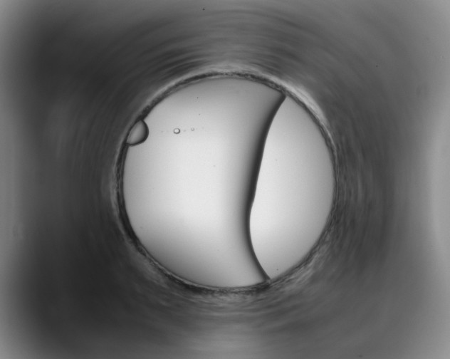X0000090490895200707130928