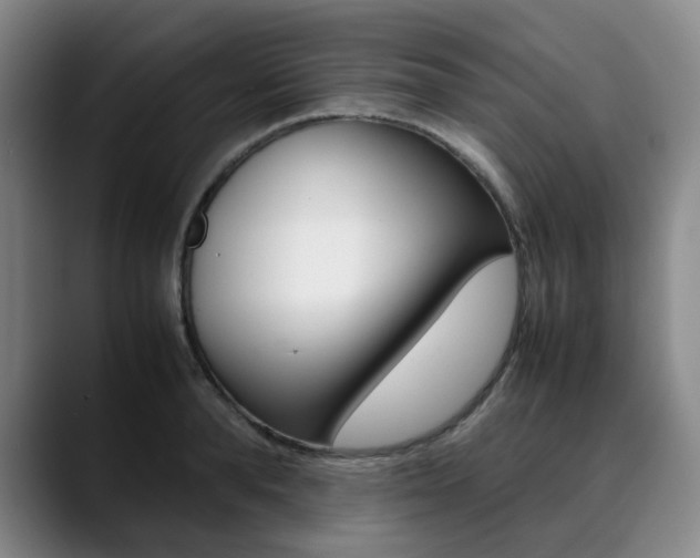 X0000090490896200707130928